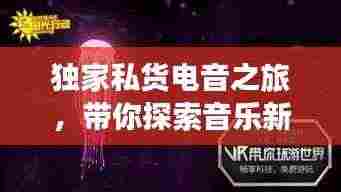 独家私货电音之旅,带你探索音乐新境界的魅力之旅