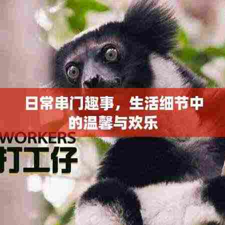 日常串门趣事,生活细节中的温馨与欢乐