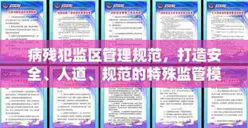 病残犯监区管理规范,打造安全、人道、规范的特殊监管模式