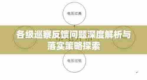 各级巡察反馈问题深度解析与落实策略探索