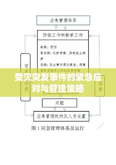 受灾突发事件的紧急应对与管理策略