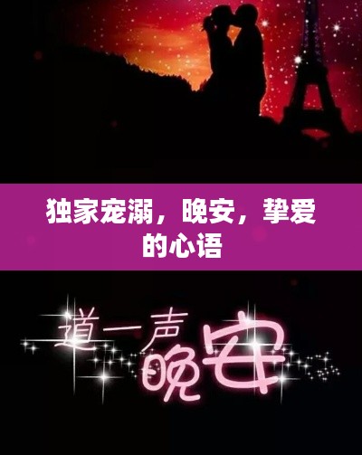 独家宠溺，晚安，挚爱的心语