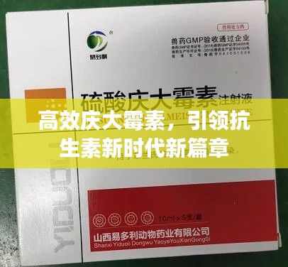 高效庆大霉素，引领抗生素新时代新篇章