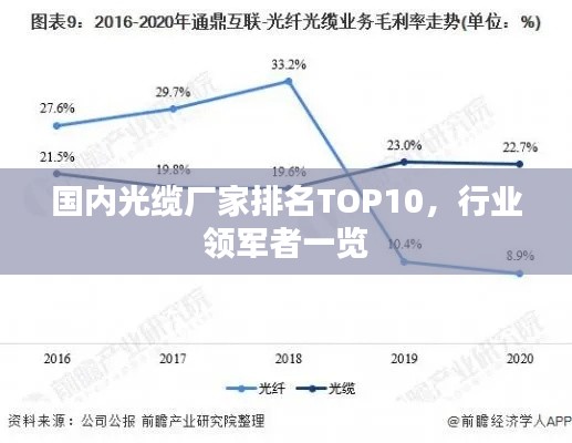 国内光缆厂家排名TOP10，行业领军者一览