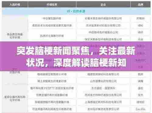 突发脑梗新闻聚焦，关注最新状况，深度解读脑梗新知
