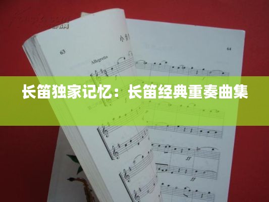 长笛独家记忆：长笛经典重奏曲集 