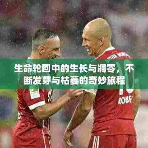 生命轮回中的生长与凋零,不断发芽与枯萎的奇妙旅程