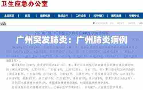广州突发肺炎:广州肺炎病例