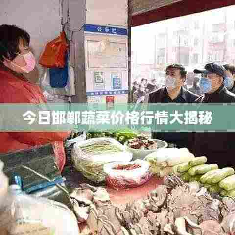 今日邯郸蔬菜价格行情大揭秘