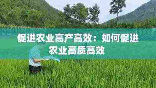 促进农业高产高效：如何促进农业高质高效 