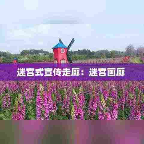 迷宫式宣传走廊:迷宫画廊