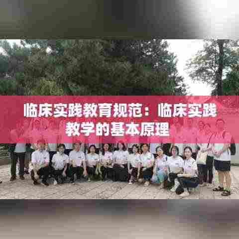 临床实践教育规范：临床实践教学的基本原理 