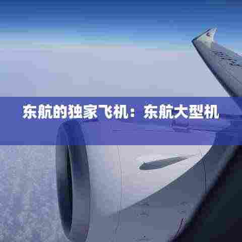 东航的独家飞机：东航大型机 
