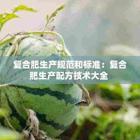 粗茶淡饭 第3页