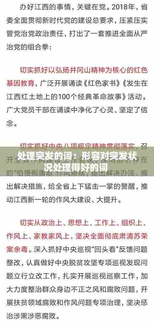 处理突发的词：形容对突发状况处理得好的词 