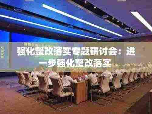 强化整改落实专题研讨会:进一步强化整改落实