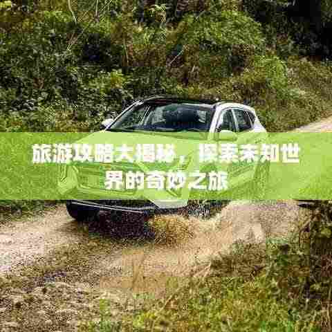 旅游攻略大揭秘,探索未知世界的奇妙之旅