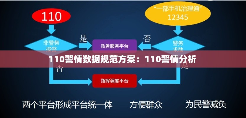110警情数据规范方案：110警情分析 
