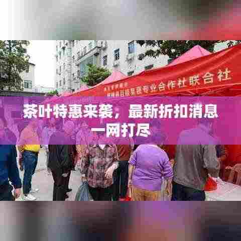 茶叶特惠来袭,最新折扣消息一网打尽