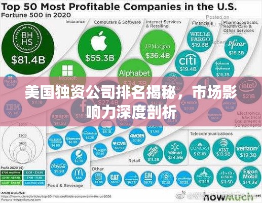 美国独资公司排名揭秘,市场影响力深度剖析