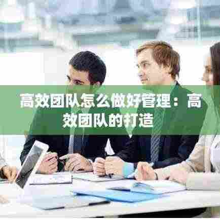 高效团队怎么做好管理:高效团队的打造