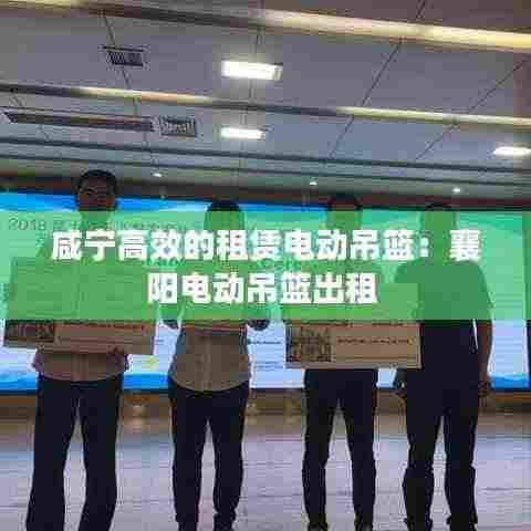 咸宁高效的租赁电动吊篮:襄阳电动吊篮出租