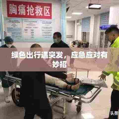 绿色出行遇突发，应急应对有妙招