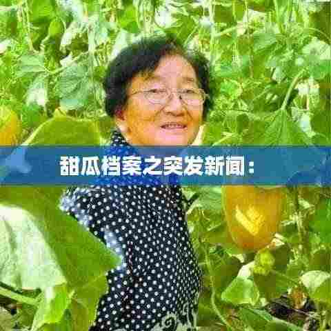 甜瓜档案之突发新闻: