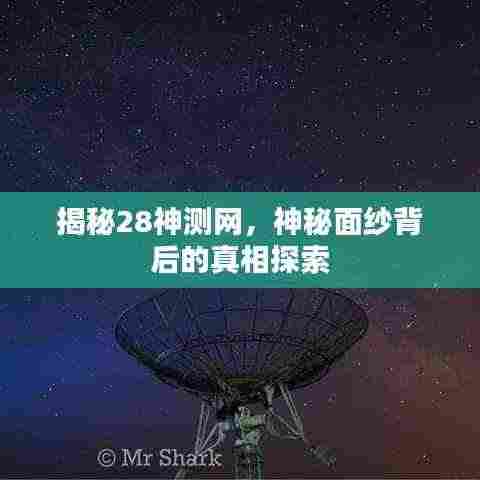 揭秘28神测网,神秘面纱背后的真相探索