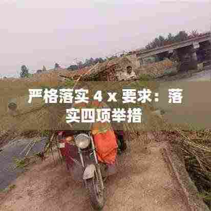 严格落实 4 x 要求:落实四项举措