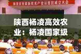 陕西杨凌高效农业：杨凌国家级农业高新技术示范区 