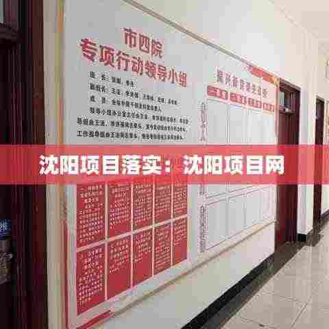 沈阳项目落实：沈阳项目网 