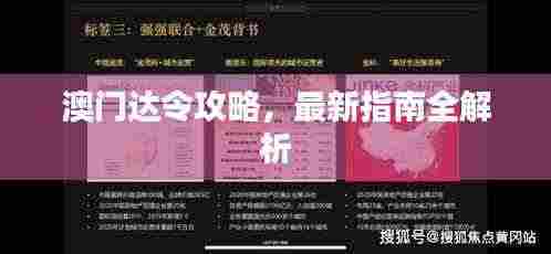 澳门达令攻略,最新指南全解析