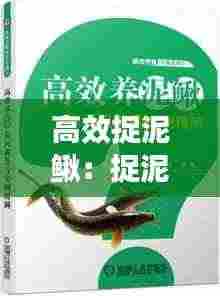 高效捉泥鳅:捉泥鳅教学视频