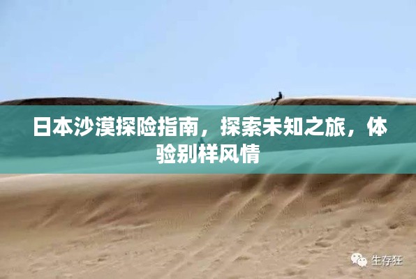 日本沙漠探险指南,探索未知之旅,体验别样风情