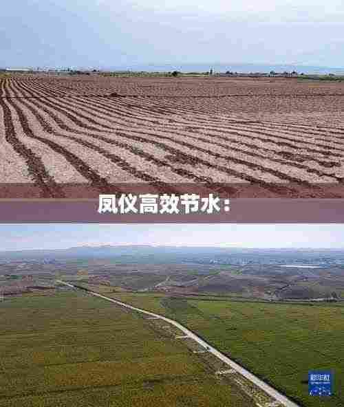 凤仪高效节水： 