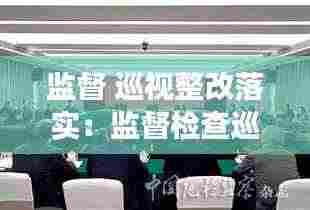 监督 巡视整改落实：监督检查巡察整改后半篇文章 