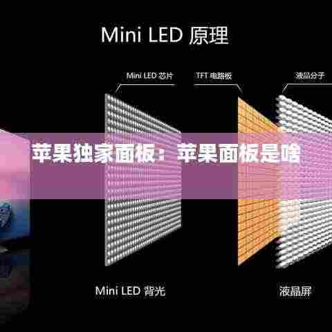 苹果独家面板：苹果面板是啥 