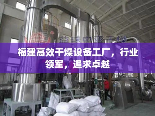 福建高效干燥设备工厂,行业领军,追求卓越