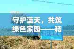 守护蓝天,共筑绿色家园——秸秆禁烧政策落实行动