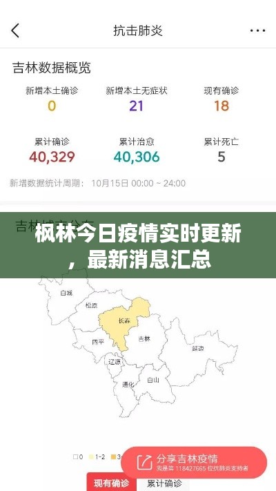 枫林今日疫情实时更新，最新消息汇总