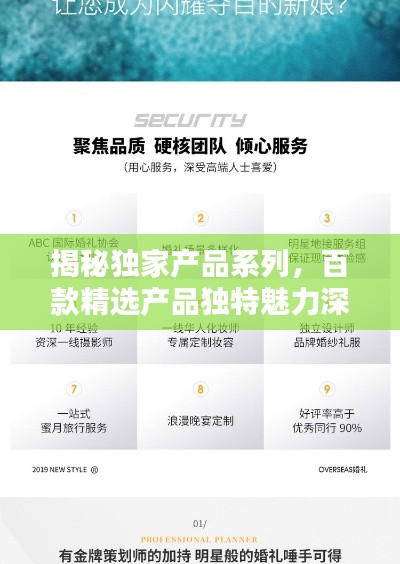 揭秘独家产品系列,百款精选产品独特魅力深度探索