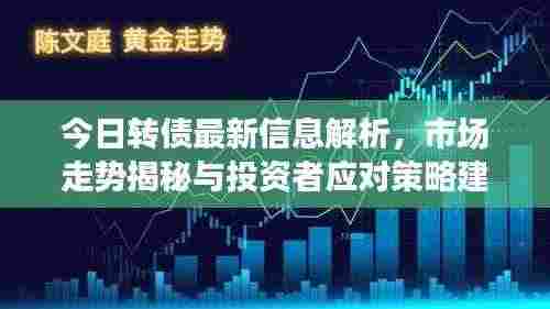 今日转债最新信息解析,市场走势揭秘与投资者应对策略建议