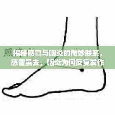 揭秘感冒与咽炎的微妙联系，感冒虽去，咽炎为何反复发作？