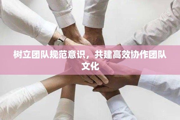 树立团队规范意识，共建高效协作团队文化
