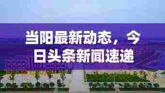 当阳最新动态，今日头条新闻速递