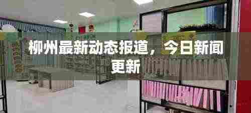 柳州最新动态报道,今日新闻更新