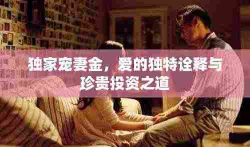 独家宠妻金,爱的独特诠释与珍贵投资之道