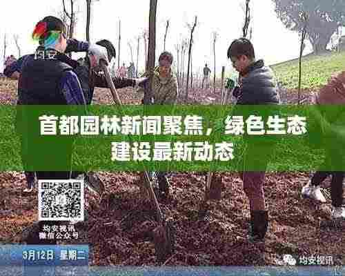 首都园林新闻聚焦,绿色生态建设最新动态