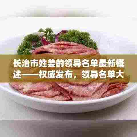 长治市姓姜的领导名单最新概述——权威发布,领导名单大揭秘!